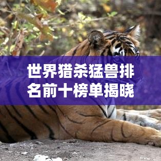 世界獵殺猛獸排名前十榜單揭曉！
