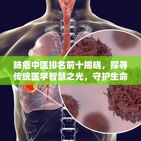 肺癌中醫(yī)排名前十揭曉，探尋傳統(tǒng)醫(yī)學智慧之光，守護生命健康之路