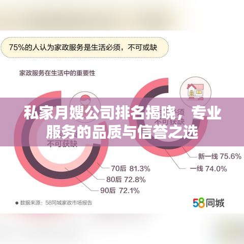 私家月嫂公司排名揭曉，專業(yè)服務的品質(zhì)與信譽之選