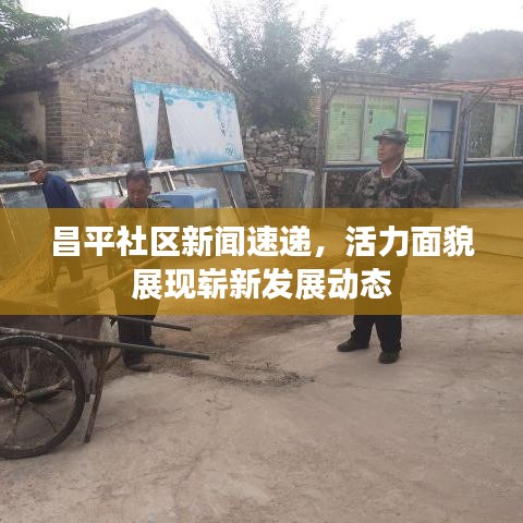 昌平社區(qū)新聞速遞，活力面貌展現(xiàn)嶄新發(fā)展動(dòng)態(tài)