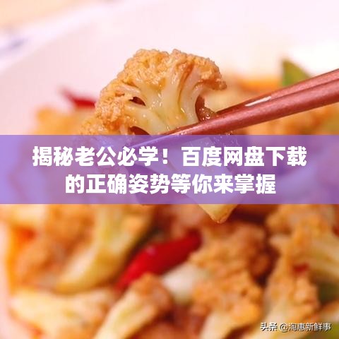 揭秘老公必學！百度網(wǎng)盤下載的正確姿勢等你來掌握