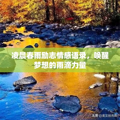 凌晨春雨勵志情感語錄，喚醒夢想的雨滴力量