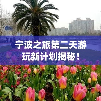 寧波之旅第二天游玩新計劃揭秘！