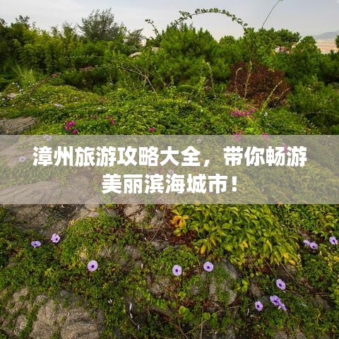 漳州旅游攻略大全，帶你暢游美麗濱海城市！