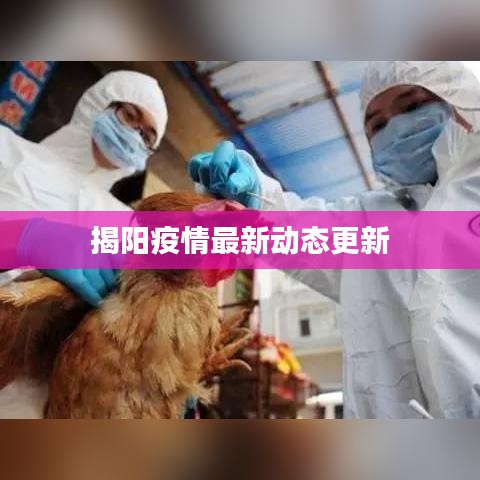 揭陽(yáng)疫情最新動(dòng)態(tài)更新