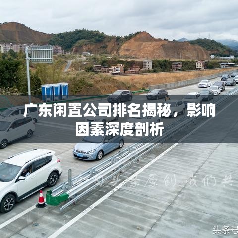 廣東閑置公司排名揭秘，影響因素深度剖析