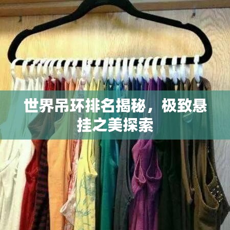 世界吊環(huán)排名揭秘，極致懸掛之美探索