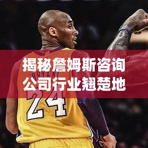 揭秘詹姆斯咨詢公司行業(yè)翹楚地位的成功秘訣！