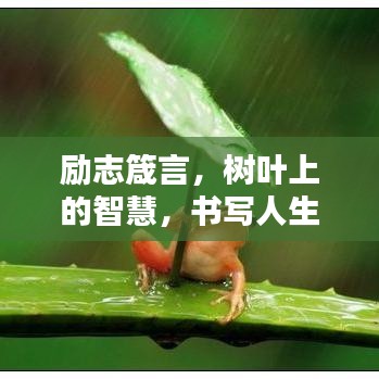 勵(lì)志箴言，樹葉上的智慧，書寫人生的精彩篇章