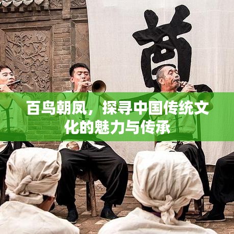 百鳥朝鳳，探尋中國(guó)傳統(tǒng)文化的魅力與傳承