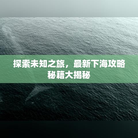 探索未知之旅，最新下海攻略秘籍大揭秘