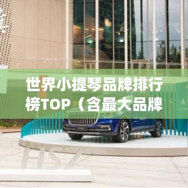 世界小提琴品牌排行榜TOP（含最大品牌）