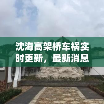 沈海高架橋車禍實(shí)時(shí)更新，最新消息匯總