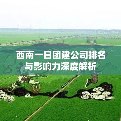 西南一日團建公司排名與影響力深度解析