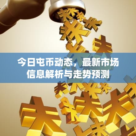 今日屯幣動態(tài)，最新市場信息解析與走勢預測