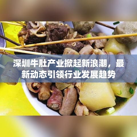 深圳牛肚產業(yè)掀起新浪潮，最新動態(tài)引領行業(yè)發(fā)展趨勢