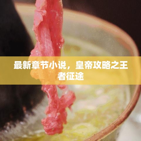 最新章節(jié)小說，皇帝攻略之王者征途