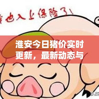 淮安今日豬價實(shí)時更新，最新動態(tài)與市場走勢分析