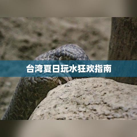 臺(tái)灣夏日玩水狂歡指南