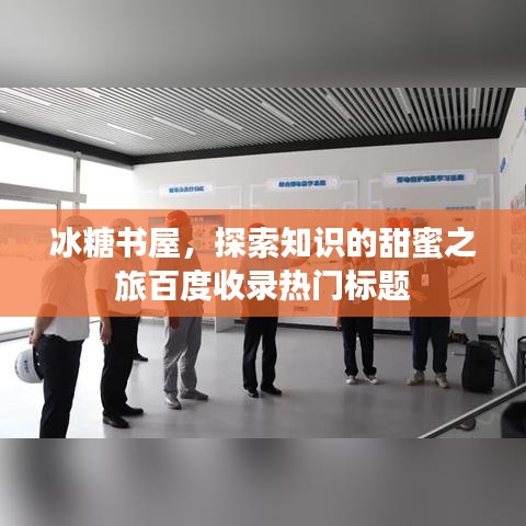 冰糖書屋，探索知識(shí)的甜蜜之旅百度收錄熱門標(biāo)題