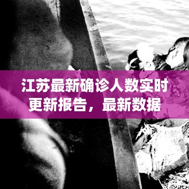 江蘇最新確診人數(shù)實時更新報告，最新數(shù)據(jù)揭秘