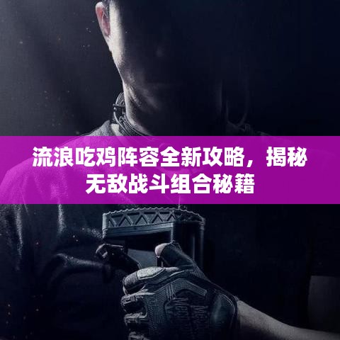 流浪吃雞陣容全新攻略，揭秘?zé)o敵戰(zhàn)斗組合秘籍