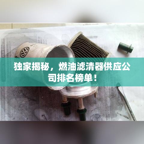 獨(dú)家揭秘，燃油濾清器供應(yīng)公司排名榜單！