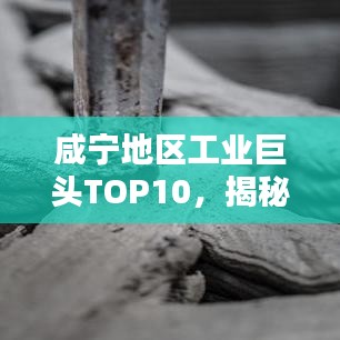 咸寧地區(qū)工業(yè)巨頭TOP10，揭秘排名前十企業(yè)的風(fēng)采