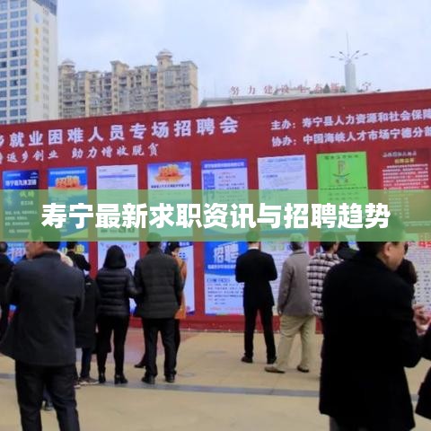 壽寧最新求職資訊與招聘趨勢