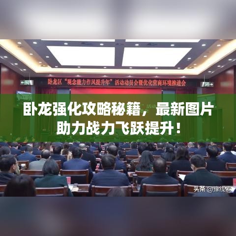 臥龍強(qiáng)化攻略秘籍，最新圖片助力戰(zhàn)力飛躍提升！
