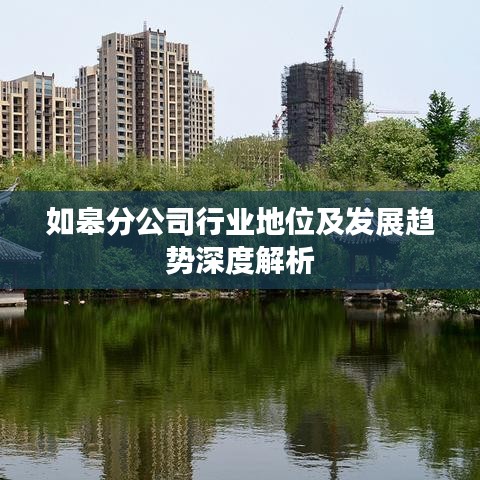 如皋分公司行業(yè)地位及發(fā)展趨勢(shì)深度解析