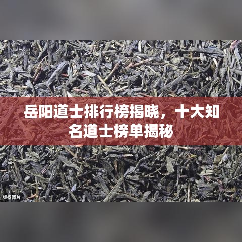 岳陽(yáng)道士排行榜揭曉，十大知名道士榜單揭秘