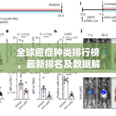 全球癌癥種類排行榜，最新排名及數(shù)據(jù)解析