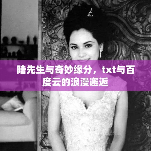 陸先生與奇妙緣分，txt與百度云的浪漫邂逅