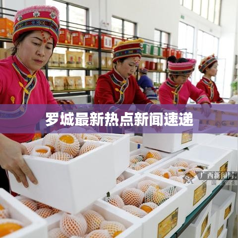 羅城最新熱點新聞速遞