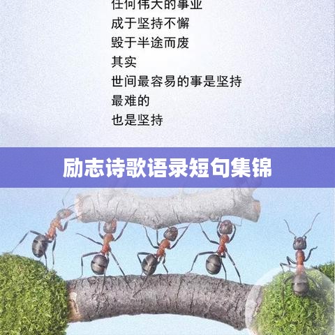 勵(lì)志詩歌語錄短句集錦