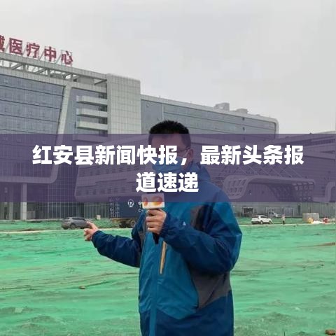 紅安縣新聞快報，最新頭條報道速遞