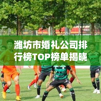 濰坊市婚禮公司排行榜TOP榜單揭曉！專業(yè)策劃、優(yōu)質(zhì)服務(wù)，打造夢(mèng)幻婚禮的首選！