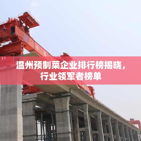 溫州預(yù)制菜企業(yè)排行榜揭曉，行業(yè)領(lǐng)軍者榜單