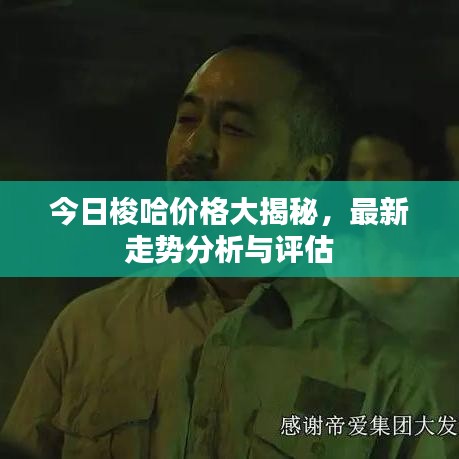 今日梭哈價格大揭秘，最新走勢分析與評估