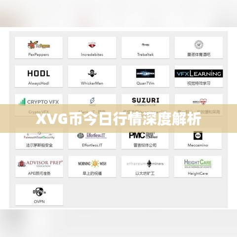 XVG幣今日行情深度解析