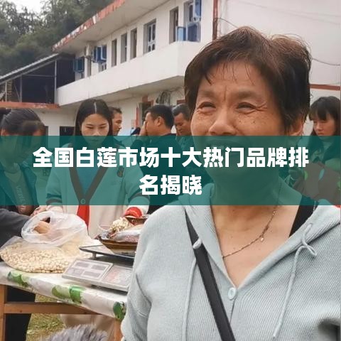 全國白蓮市場十大熱門品牌排名揭曉