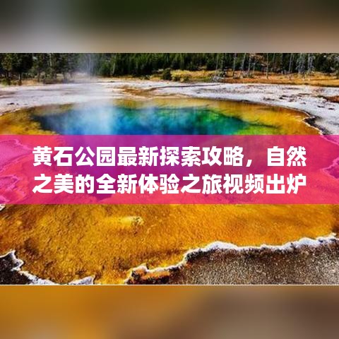 黃石公園最新探索攻略，自然之美的全新體驗之旅視頻出爐！
