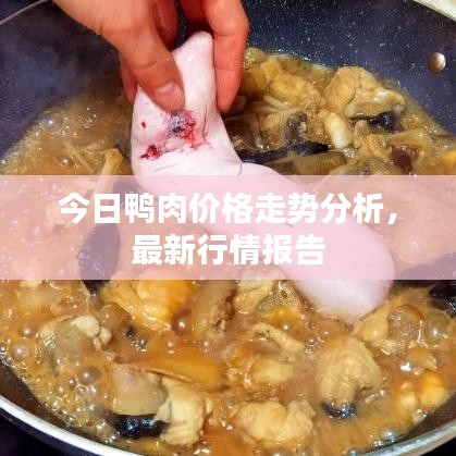 今日鴨肉價格走勢分析，最新行情報告