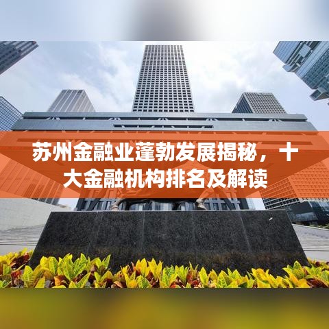 蘇州金融業(yè)蓬勃發(fā)展揭秘，十大金融機構(gòu)排名及解讀