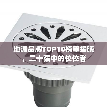 地漏品牌TOP10榜單揭曉，二十強中的佼佼者
