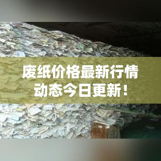 廢紙價(jià)格最新行情動(dòng)態(tài)今日更新！