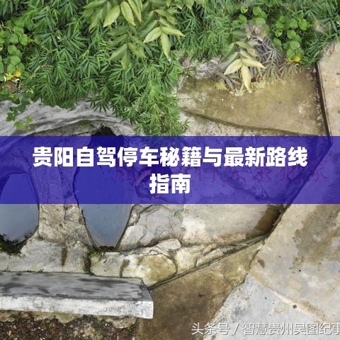貴陽自駕停車秘籍與最新路線指南