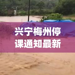興寧梅州停課通知最新消息，家長(zhǎng)和學(xué)生必看！