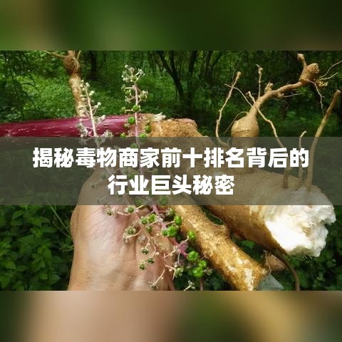 揭秘毒物商家前十排名背后的行業(yè)巨頭秘密